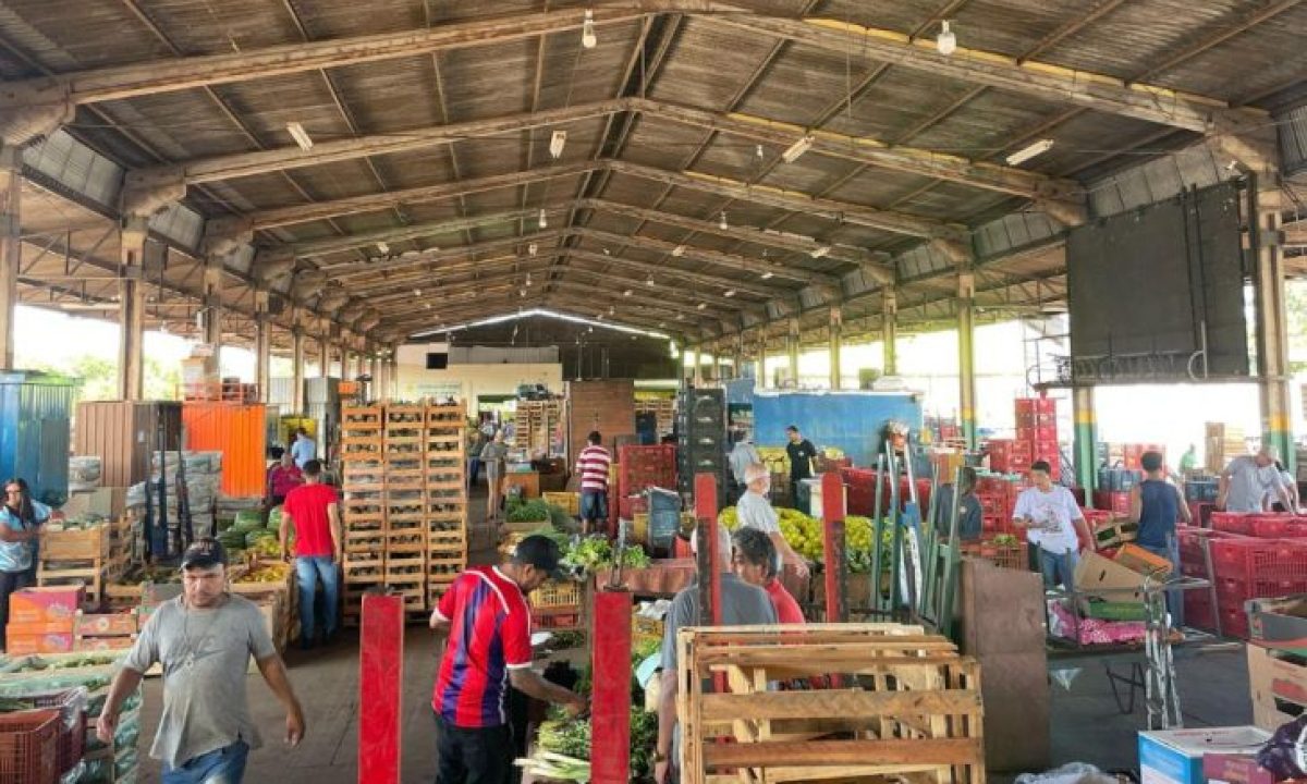 volume-comercializado-4-e1742421438203-730x480