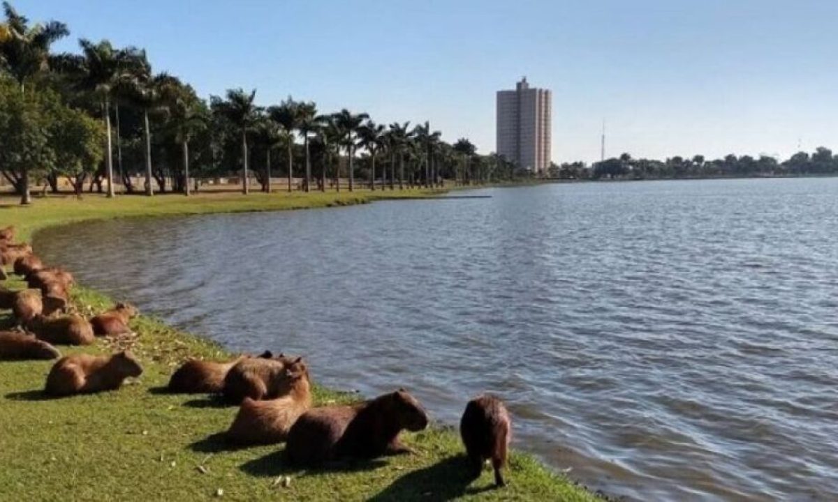 whatsapp-image-2020-11-18-at-075102-2