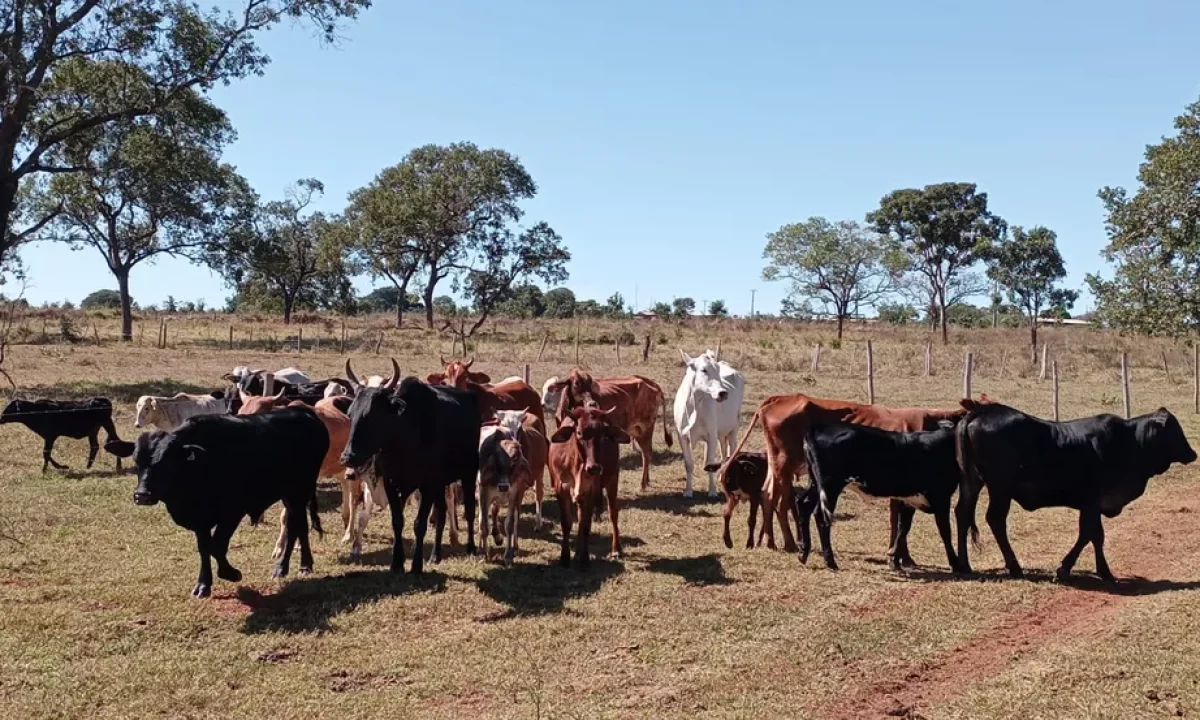 whatsapp-image-2022-06-13-at-16.25.29